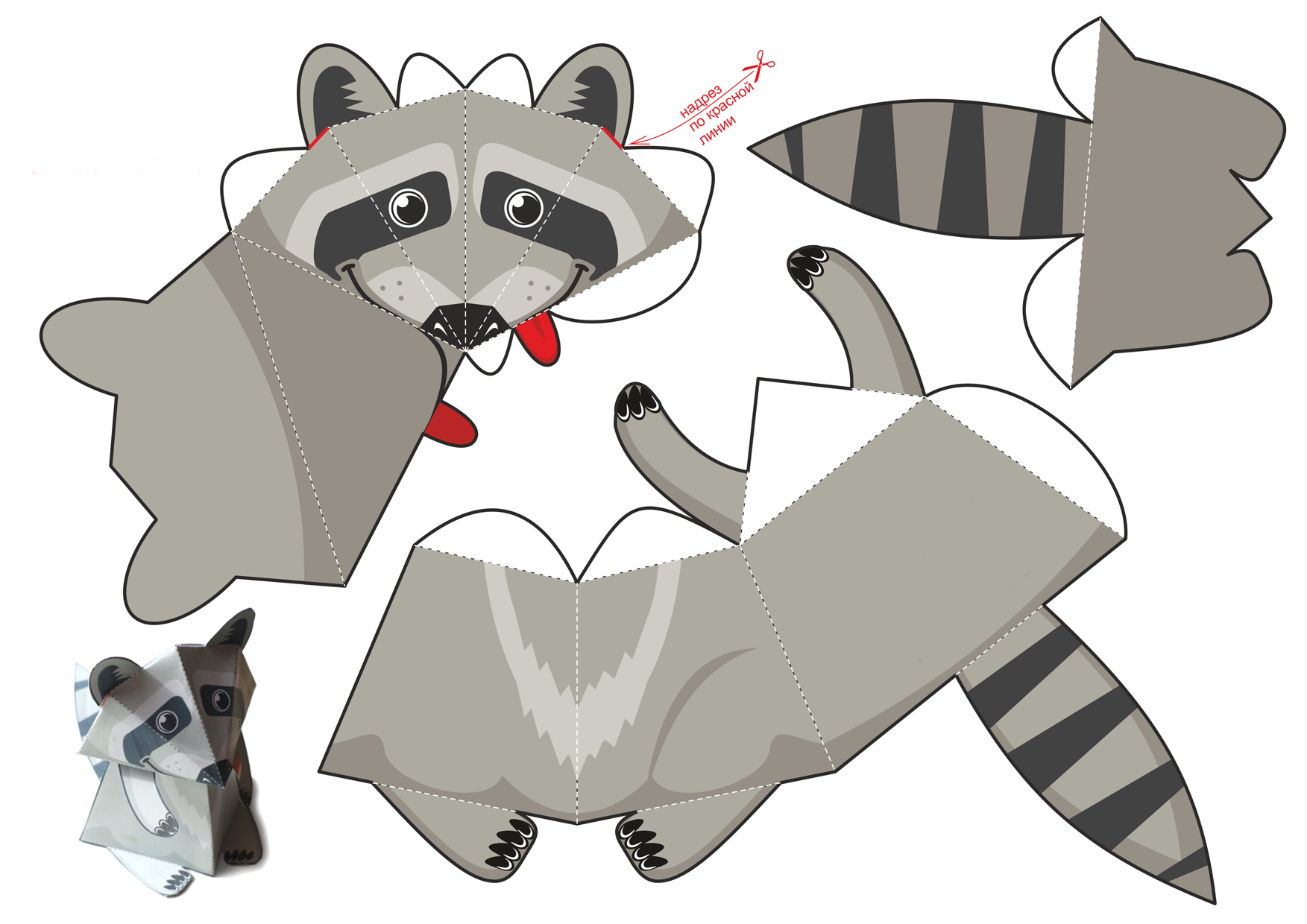 Paper model Raccoon for gluing 