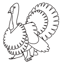 Thanksgiving Turkey Paper Model